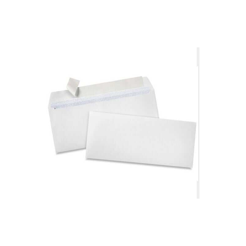 Envelope 10 V-Flap Poly No Window